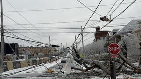 Must-see photos: Crippling ice in Nashville destroys power lines, snaps trees during catastrophic winter storm