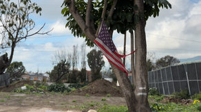 Recounting the heartbreaking loss caused by the deadly Palisades and Eaton fires 1 year later