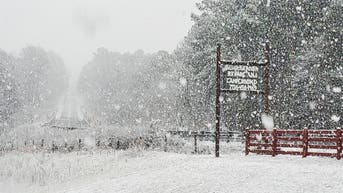 Potential for major winter storm brewing across the South from Texas to Southeast coast by late week - Fox News