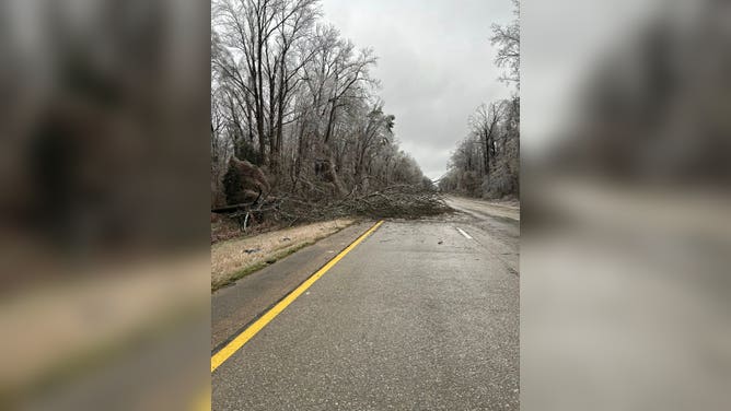 The Mississippi Highway Patrol reported downed trees and ice on Interstate 20 in Warren County in the western part of the state.