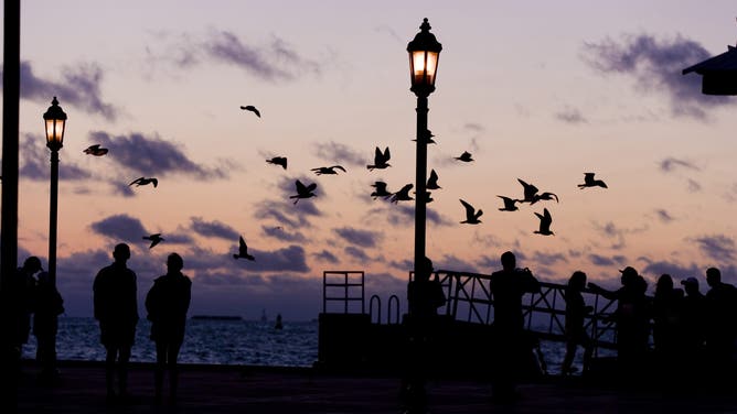 USA, florida, key west, the sunset celebration on Mallory Square.