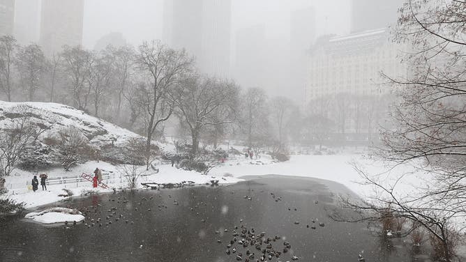 Snow falls in Central Park in New York City on January 25, 2026.