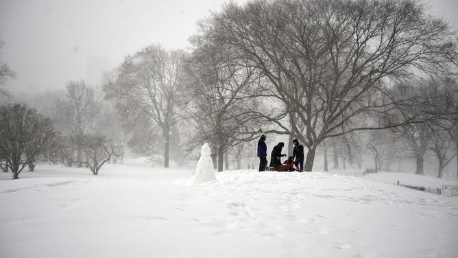 NEW YORK, NY - JANUARY 23: People stand under a tree in Central Park on January 23, 2016 in New York City. A major Nor'easter is hitting much of the East Coast and parts of the South as forecasts warn of up to two feet of snow in some areas.