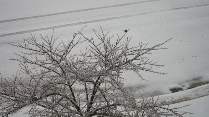 Oxford, Mississippi was battered by life-threatening ice from a massive nationwide storm on Jan. 25, leaving widespread damage—including major structural damage, fallen trees, and downed power lines—that continues to affect the area through the week.