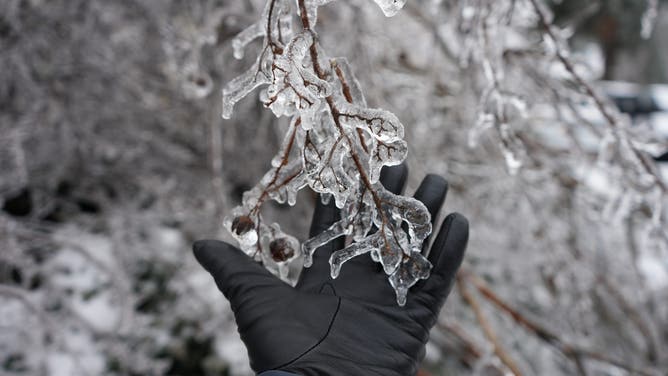 Oxford, Mississippi was battered by life-threatening ice from a massive nationwide storm on Jan. 25, leaving widespread damage—including major structural damage, fallen trees, and downed power lines—that continues to affect the area through the week.