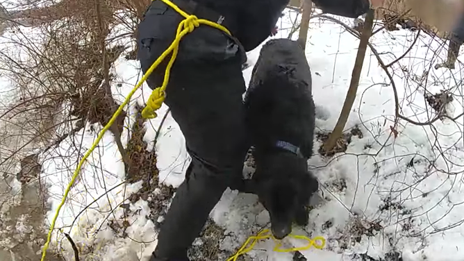 Members of the New York State Police rescue a dog from an icy canal.