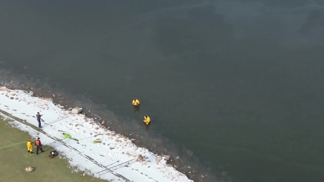 The deer ran off to the wild after it was pulled back to the shore.