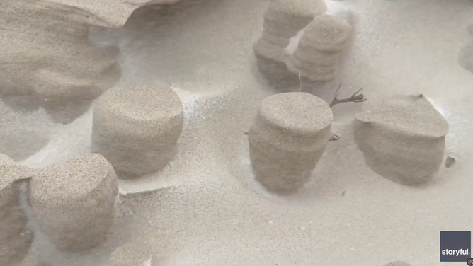 Tiny pillars of sand lined the beach from freezing winds.