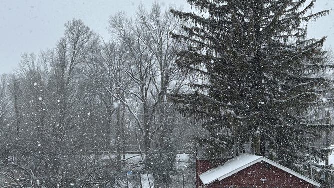 Snow in Staten Island on Saturday