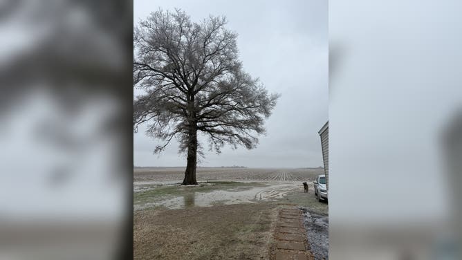 Ice has already started to build and bring down tree limbs in Epps, Louisiana