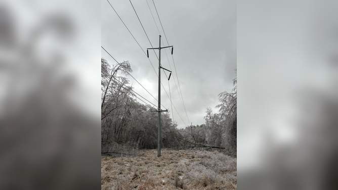 The Tennessee Valley Authority, a major utility across the South, said freezing rain and sleet caused power interruptions across both TVA-owned transmission lines and local distribution networks in northern Mississippi, northern Alabama, Kentucky, Middle Tennessee and parts of East Tennessee.