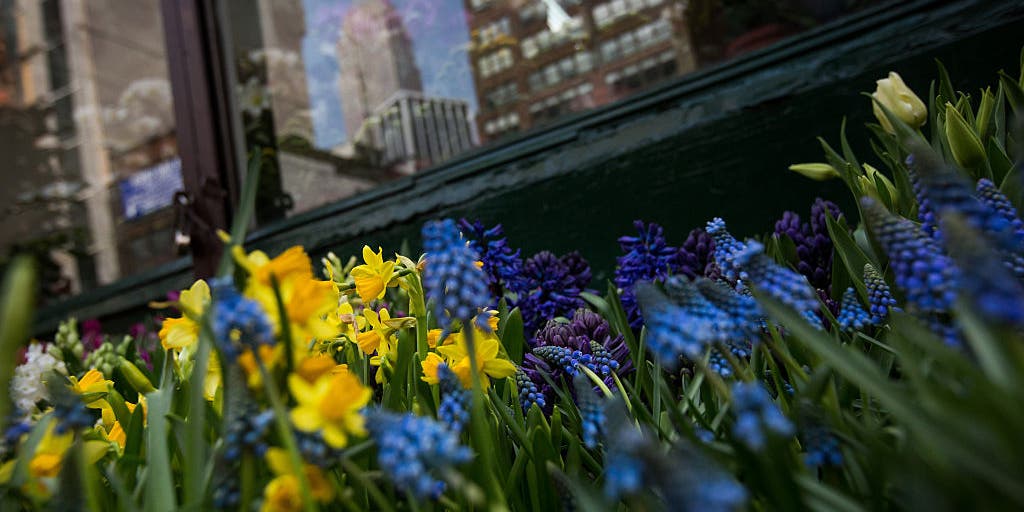 Split in Polar Vortex to usher in warm weather across winter-weary Eastern US near beginning of March