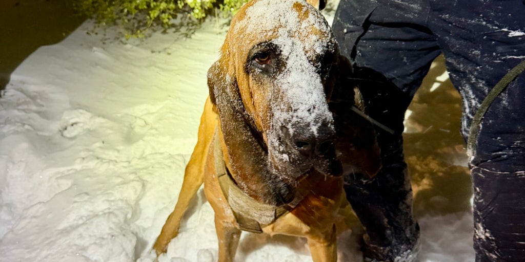 Photos: Hero police dog finds missing 13-year-old amid historic North Carolina snowstorm