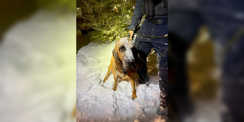 Photos: Hero police dog finds missing 13-year-old amid historic North Carolina snowstorm