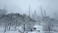 Historic blizzard of 2026 smashes snow records as millions begin to dig out from vicious bomb cyclone - Fox News