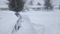 Providence shatters 48-year record for all-time biggest snowstorm as snow continues to fall - Fox News