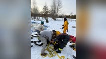 Photos: Ohio firefighters rescue horse from icy in-ground pool