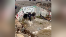 Watch: Firefighters rescue stranded dog from drainage grate as heavy rain elevates California water levels