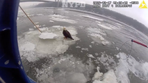 See it: Injured bald eagle floating on ice in Hudson River rescued by NYPD