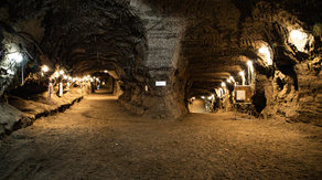 Discovery in ancient Alaskan 40,000-year-old permafrost could help US military survive in extreme cold