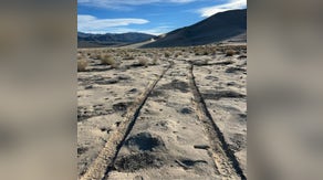 National Park Service needs your help after miles of rare plants were damaged in the hottest place on earth