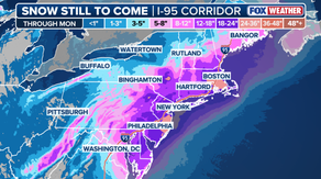 Blizzard bomb cyclone tracker: Live radar, snow totals, active winter alerts, power outages and travel delays