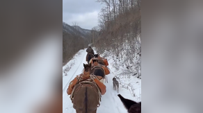 See it: Mules deliver essential supplies to West Virginia communities paralyzed by snow