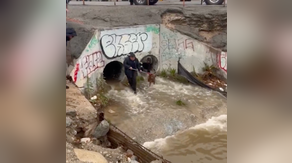 Watch: Firefighters rescue stranded dog from drainage grate as heavy rain elevates California water levels