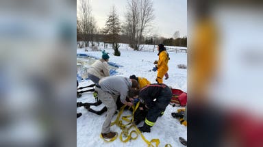 Photos: Ohio firefighters rescue horse from icy in-ground pool