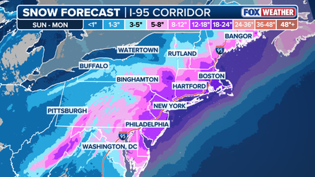 Nor'easter bomb cyclone tracker: Live radar, snow forecast, winter alerts, wind gusts and more