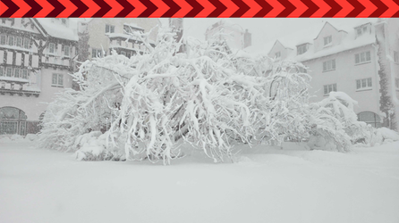 Live updates: Millions dig out from deadly blizzard 'bomb' as next Northeast snow threat looms