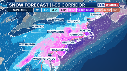 Nor'easter bomb cyclone tracker: Live radar, snow forecast, winter alerts, wind gusts and more