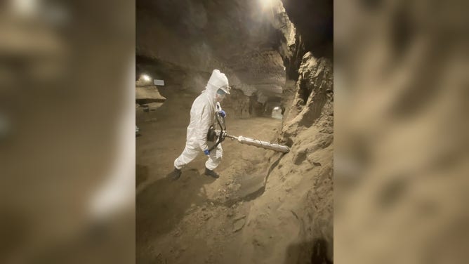 Dr. Robyn Barbato, a senior research microbiologist and leader of ERDC-CRREL’s soil microbiology team, coring permafrost samples in the Permafrost Tunnel in Fox, Alaska.