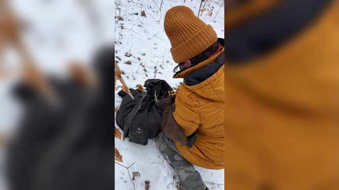 The injured eagle is covered with a cloth and secured to be taken to a veterinarian.