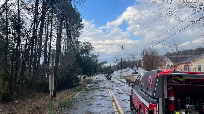 Trees knocked down in Center Point, Alabama after severe storms Thursday, Feb. 26, 2025.