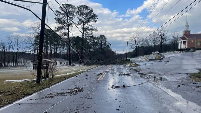 Trees knocked down in Center Point, Alabama after severe storms Thursday, Feb. 26, 2025.