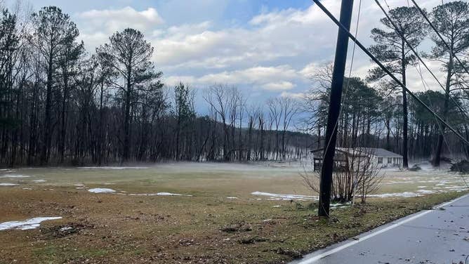 Trees knocked down in Center Point, Alabama after severe storms Thursday, Feb. 26, 2025.