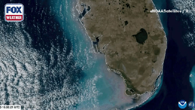 Satellite footage of the National Wildfire in South Florida.