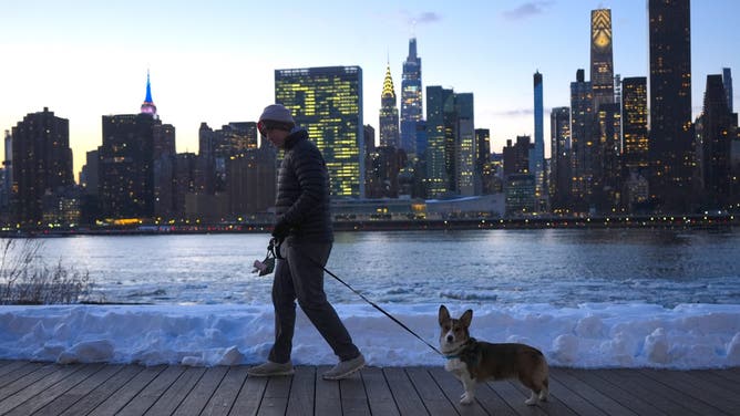 NEW YORK, UNITED STATES - JANUARY 29: A person takes the dog for a walk near the river that froze parts of it due to the extreme cold following a snowstorm as cold weather continues in New York, United States, on January 29, 2026.