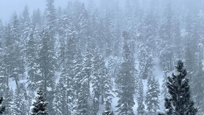 Feet of snow have buried the Lake Tahoe region and other parts of the Northern Sierra.