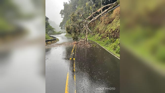 Maui County shared images of localized flooding and debris slides on Sunday and shelters were set up across the islands in case flood conditions worsened.