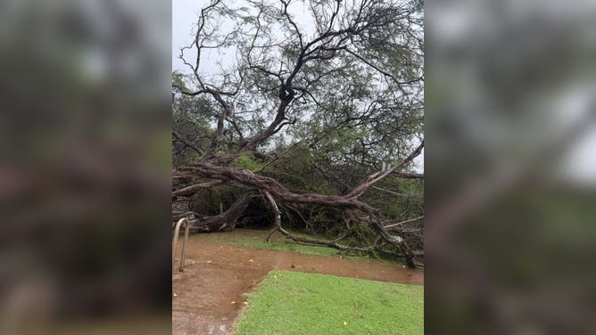 Maui County shared images of localized flooding and debris slides on Sunday and shelters were set up across the islands in case flood conditions worsened.