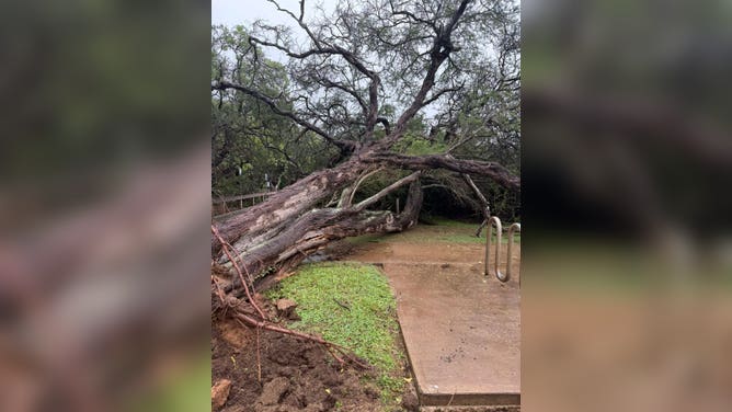 Maui County shared images of localized flooding and debris slides on Sunday and shelters were set up across the islands in case flood conditions worsened.