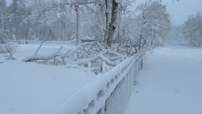 Strong winds and heavy snow break tree branches in Forked River, NJ, Feb. 23, 2026