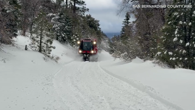 San Bernardino County Fire Department used a specialized heavy rescue vehicle known as a snowcat to save a camper and his dog who were stranded in the San Bernardino Mountains, which have received more than 4 feet of snow since Sunday.