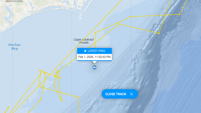 CAYO's most recent ping on Sunday, Feb. 1, 2026.
