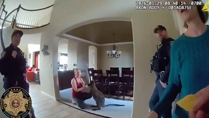 One of the owners handed the deputy some mango to feed Charlie.