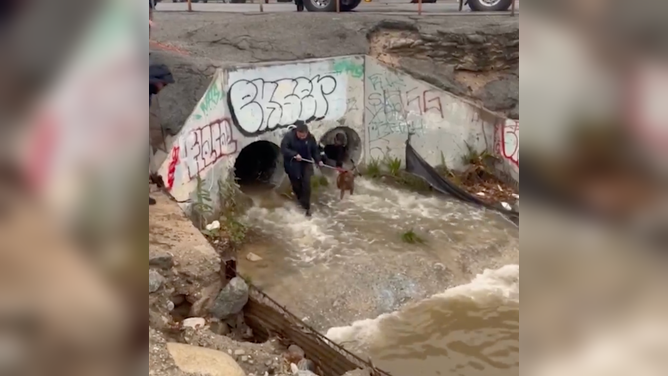 San Bernardino County Fire crews rescue dog stranded in drainage grate due to elevated water levels.