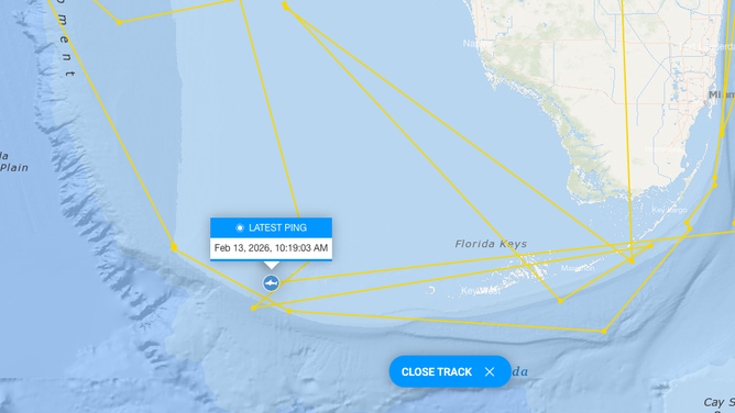 Penny the white shark's most recent ping off the Florida Keys on Feb. 13, 2026.