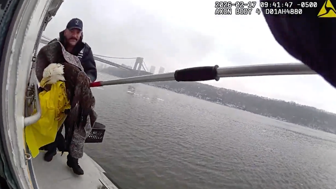 They carried the bird up to the top deck and held onto it until they got to shore.